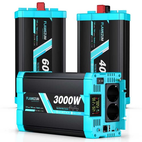 3000w 4000w 6000w reiner - 6000w,